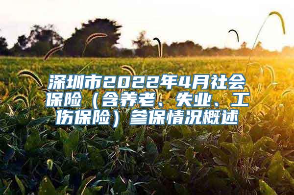 深圳市2022年4月社会保险（含养老、失业、工伤保险）参保情况概述