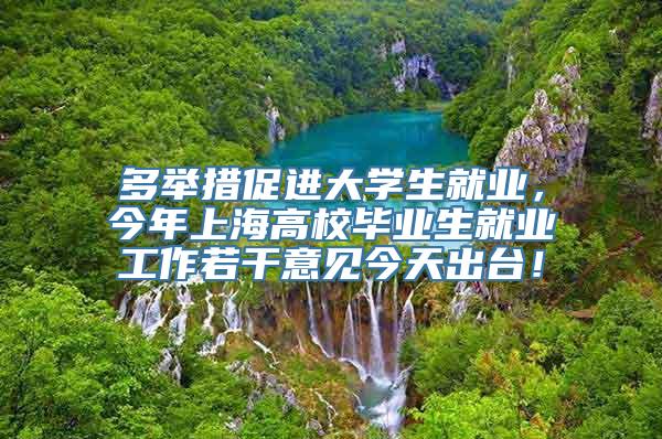 多举措促进大学生就业，今年上海高校毕业生就业工作若干意见今天出台！