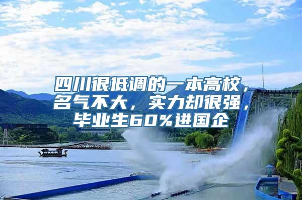 四川很低调的一本高校，名气不大，实力却很强，毕业生60%进国企