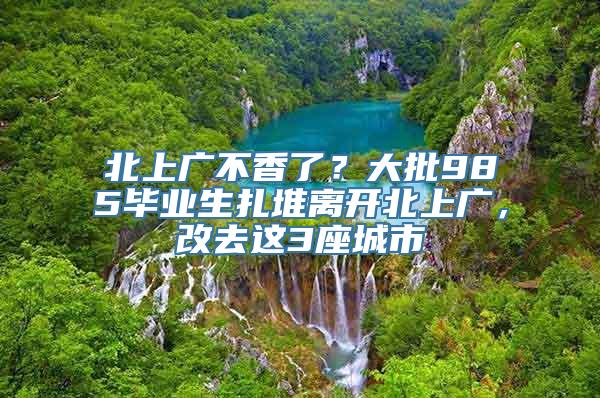 北上广不香了？大批985毕业生扎堆离开北上广，改去这3座城市