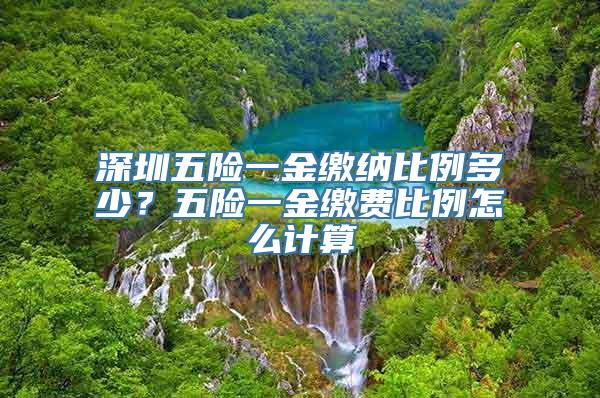 深圳五险一金缴纳比例多少？五险一金缴费比例怎么计算