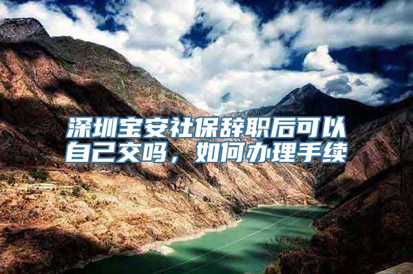 深圳宝安社保辞职后可以自己交吗，如何办理手续