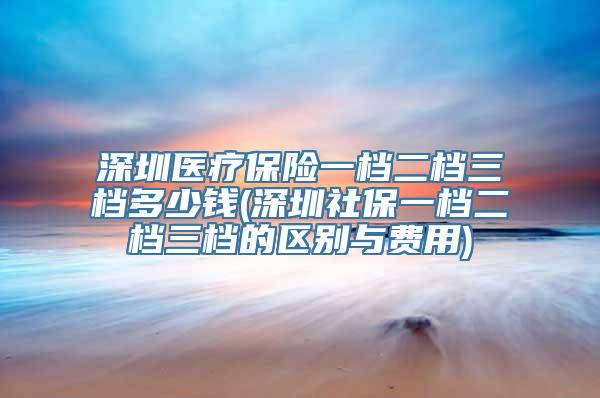 深圳医疗保险一档二档三档多少钱(深圳社保一档二档三档的区别与费用)