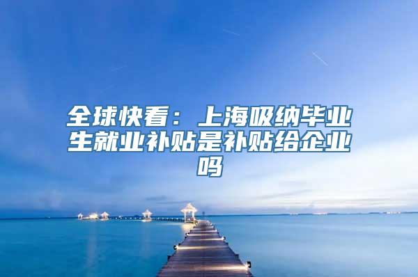 全球快看：上海吸纳毕业生就业补贴是补贴给企业吗