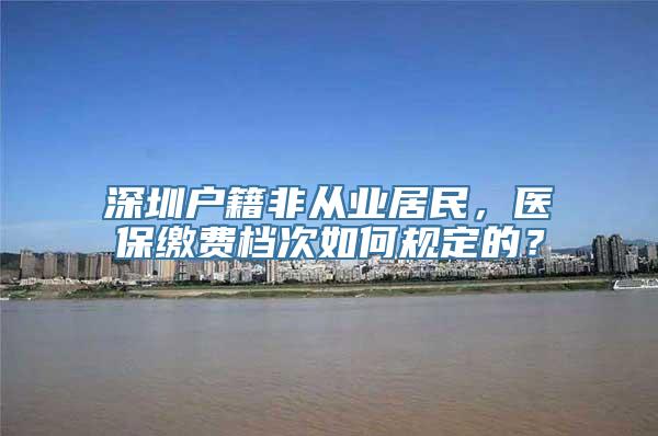 深圳户籍非从业居民，医保缴费档次如何规定的？