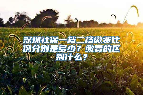 深圳社保一档二档缴费比例分别是多少？缴费的区别什么？