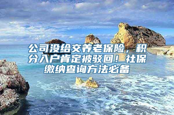 公司没给交养老保险，积分入户肯定被驳回！社保缴纳查询方法必备