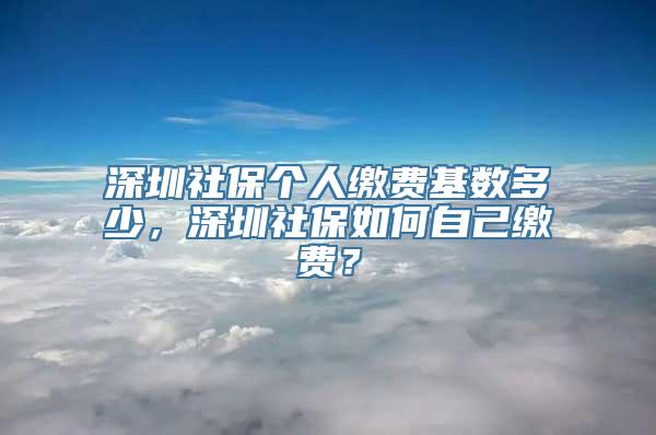 深圳社保个人缴费基数多少，深圳社保如何自己缴费？