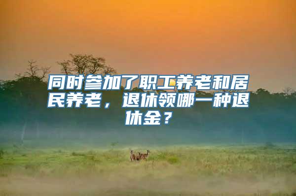 同时参加了职工养老和居民养老，退休领哪一种退休金？