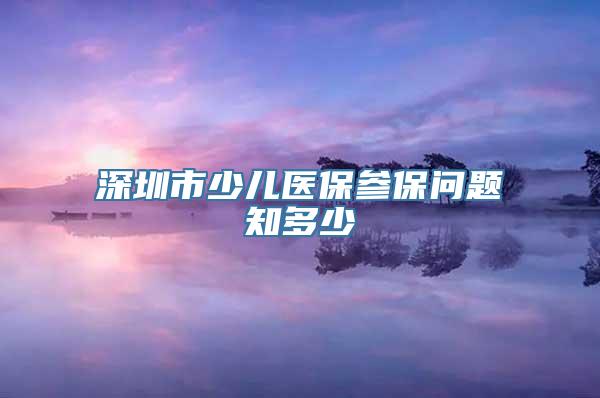 深圳市少儿医保参保问题知多少