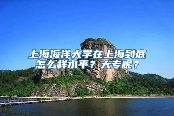 上海海洋大学在上海到底怎么样水平？大专呢？