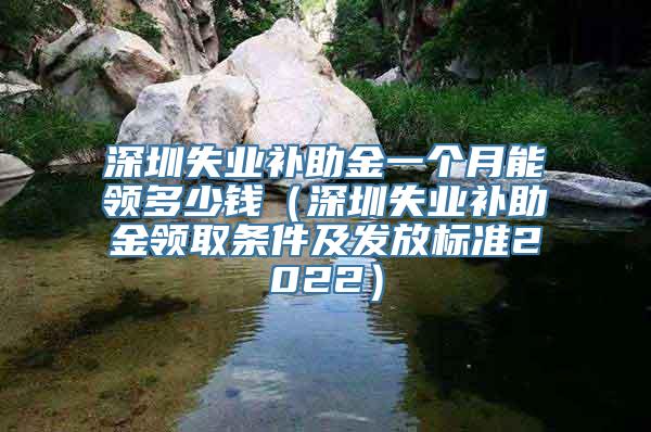 深圳失业补助金一个月能领多少钱（深圳失业补助金领取条件及发放标准2022）