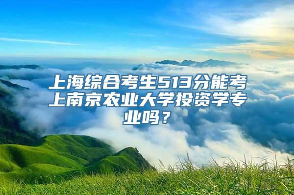 上海综合考生513分能考上南京农业大学投资学专业吗？