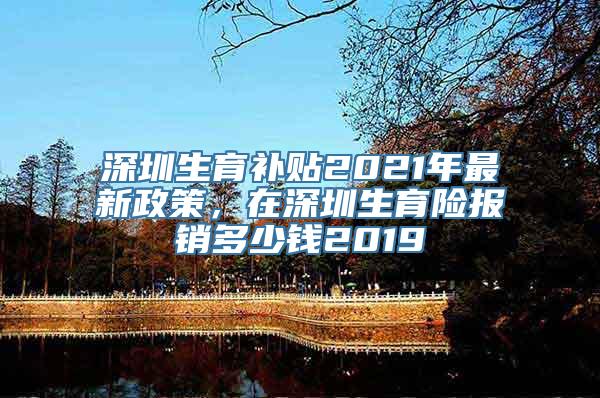 深圳生育补贴2021年最新政策，在深圳生育险报销多少钱2019