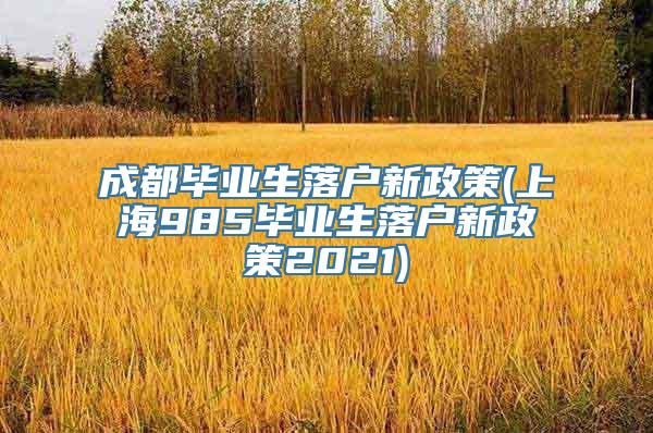 成都毕业生落户新政策(上海985毕业生落户新政策2021)