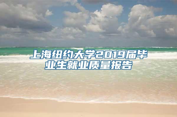 上海纽约大学2019届毕业生就业质量报告