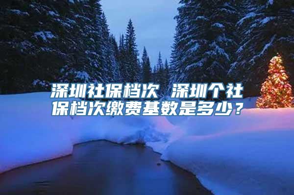 深圳社保档次 深圳个社保档次缴费基数是多少？