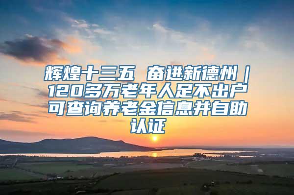 辉煌十三五 奋进新德州｜120多万老年人足不出户可查询养老金信息并自助认证