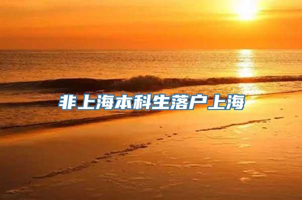 非上海本科生落户上海