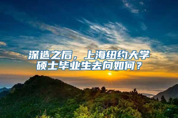 深造之后，上海纽约大学硕士毕业生去向如何？