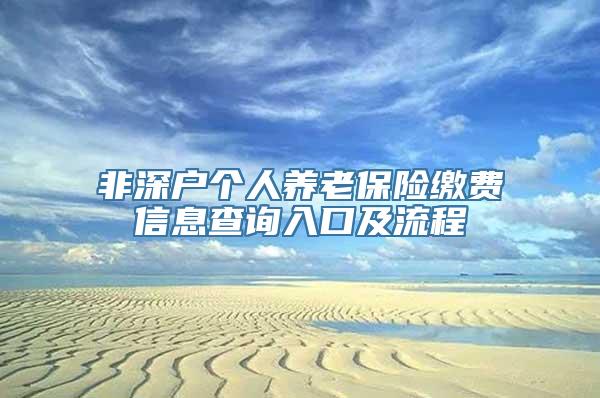 非深户个人养老保险缴费信息查询入口及流程