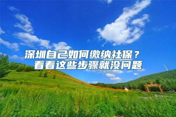 深圳自己如何缴纳社保？ 看看这些步骤就没问题