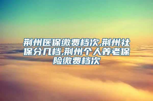 荆州医保缴费档次,荆州社保分几档,荆州个人养老保险缴费档次