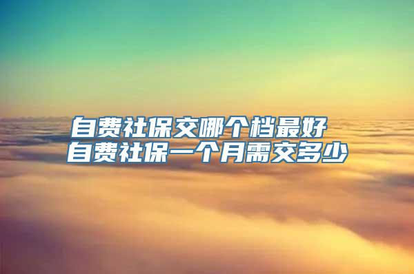 自费社保交哪个档最好 自费社保一个月需交多少