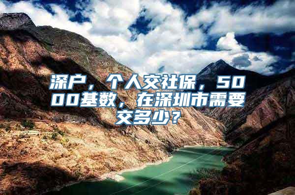 深户，个人交社保，5000基数，在深圳市需要交多少？