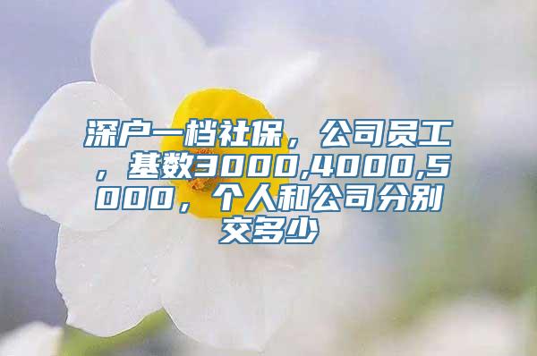 深户一档社保，公司员工，基数3000,4000,5000，个人和公司分别交多少