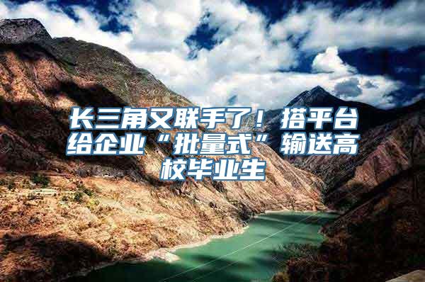 长三角又联手了！搭平台给企业“批量式”输送高校毕业生