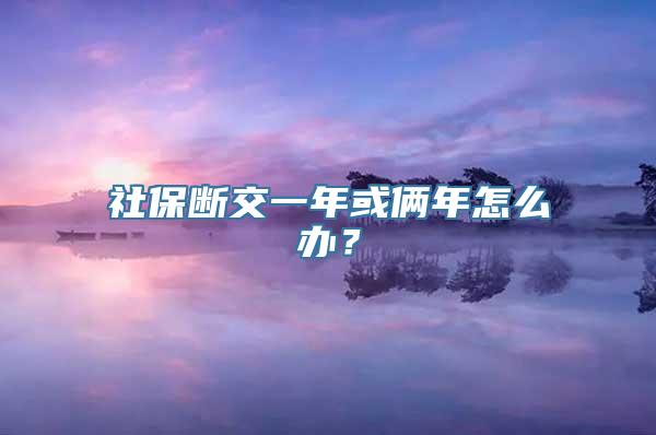 社保断交一年或俩年怎么办？