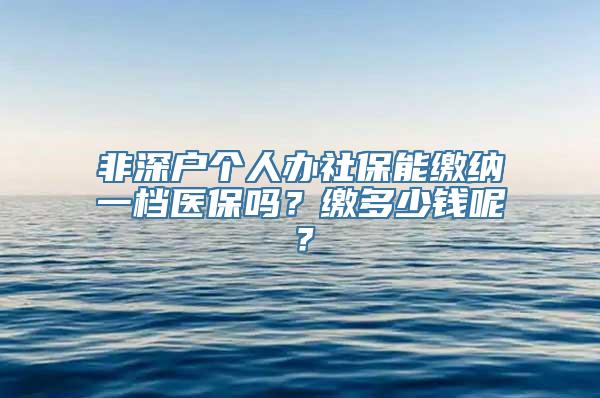 非深户个人办社保能缴纳一档医保吗？缴多少钱呢？