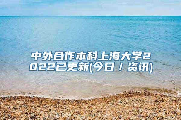 中外合作本科上海大学2022已更新(今日／资讯)