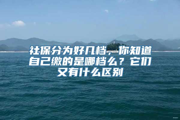 社保分为好几档，你知道自己缴的是哪档么？它们又有什么区别