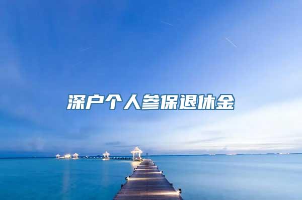 深户个人参保退休金