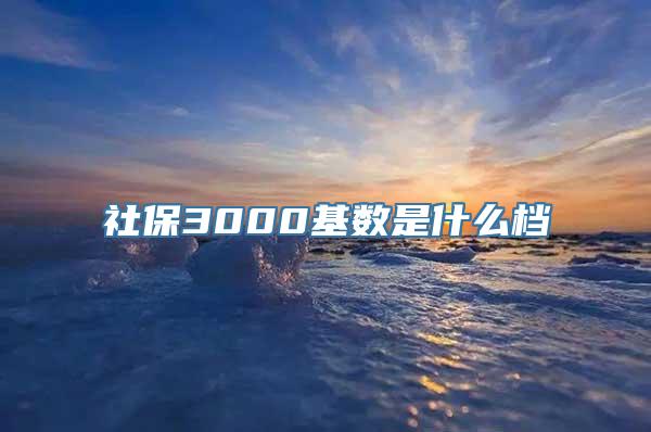 社保3000基数是什么档