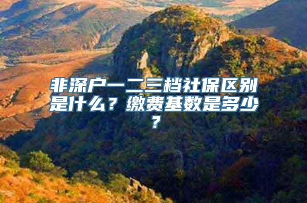 非深户一二三档社保区别是什么？缴费基数是多少？