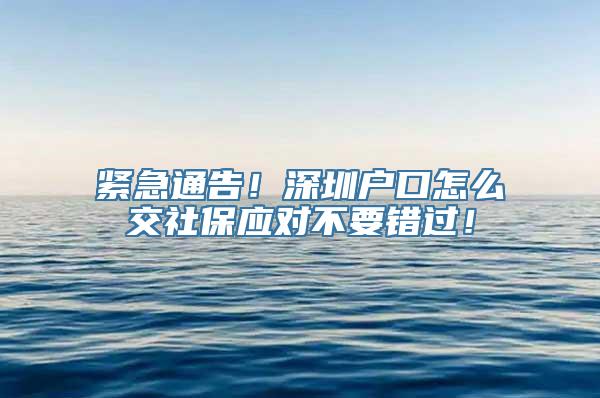 紧急通告！深圳户口怎么交社保应对不要错过！