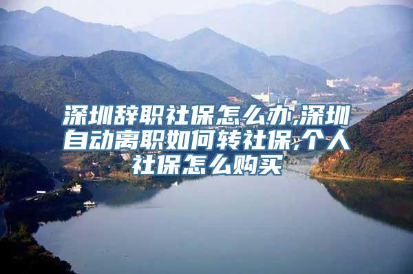 深圳辞职社保怎么办,深圳自动离职如何转社保,个人社保怎么购买