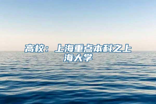 高校：上海重点本科之上海大学