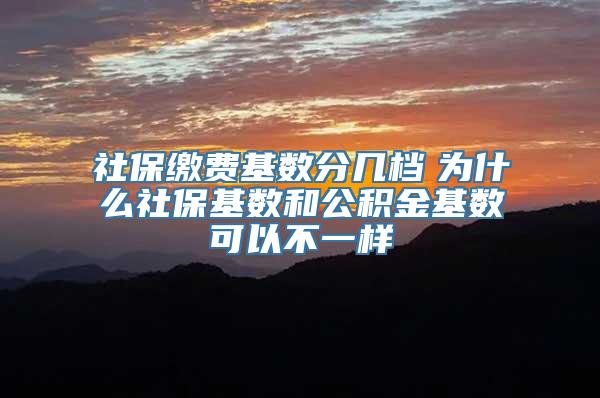 社保缴费基数分几档　为什么社保基数和公积金基数可以不一样