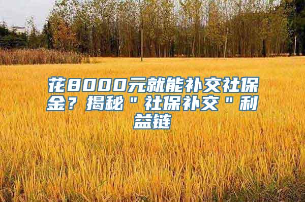 花8000元就能补交社保金？揭秘＂社保补交＂利益链