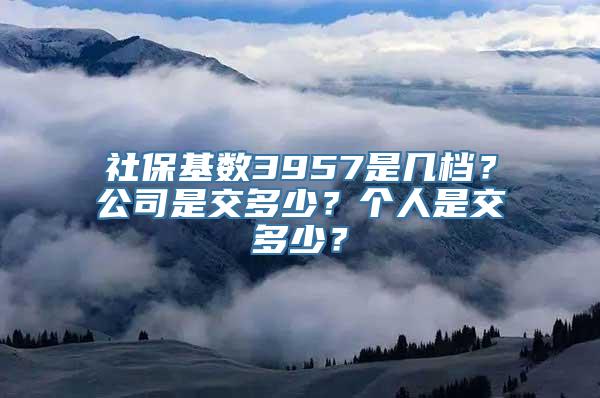 社保基数3957是几档？公司是交多少？个人是交多少？