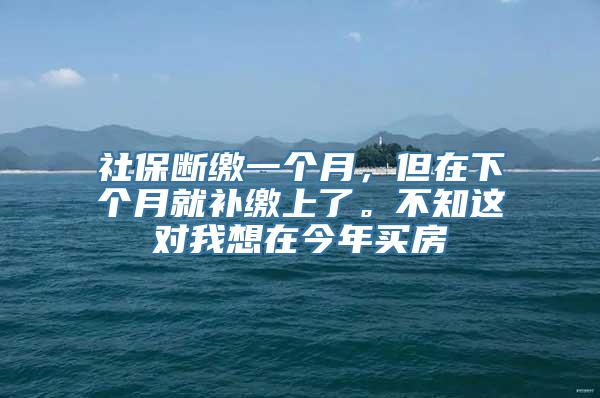 社保断缴一个月，但在下个月就补缴上了。不知这对我想在今年买房