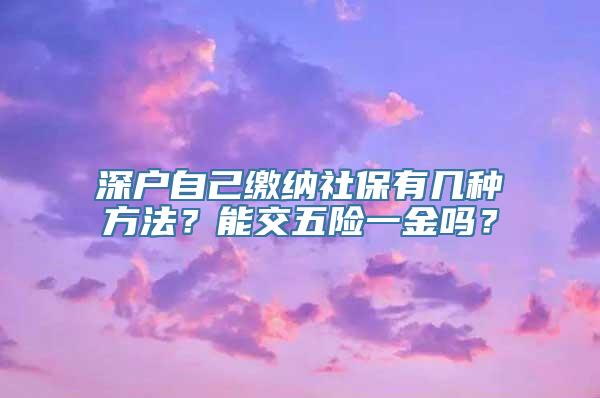 深户自己缴纳社保有几种方法？能交五险一金吗？