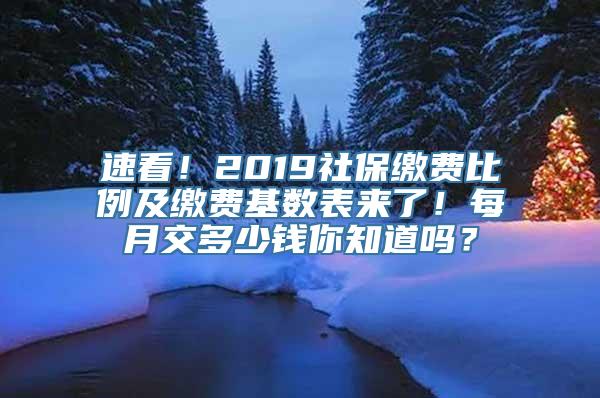 速看！2019社保缴费比例及缴费基数表来了！每月交多少钱你知道吗？