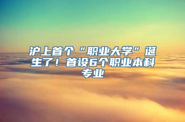 沪上首个“职业大学”诞生了！首设6个职业本科专业