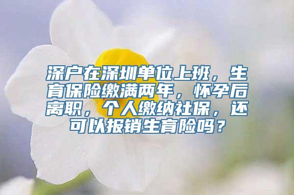 深户在深圳单位上班，生育保险缴满两年，怀孕后离职，个人缴纳社保，还可以报销生育险吗？