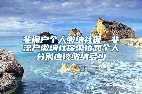 非深户个人缴纳社保，非深户缴纳社保单位和个人分别应该缴纳多少